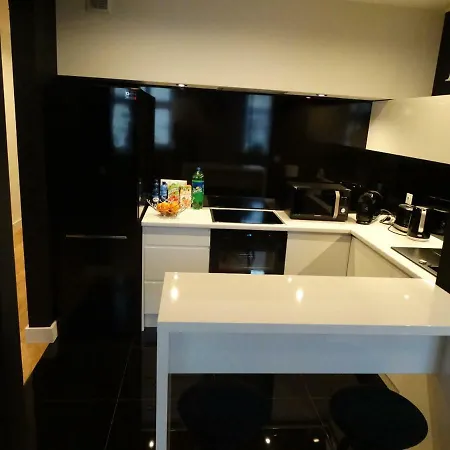 Black&white Apartment- Wierzbowa 5 Apartment Poznan
