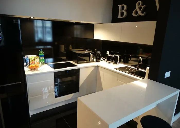 Black&white Apartment- Wierzbowa 5 פוזנן