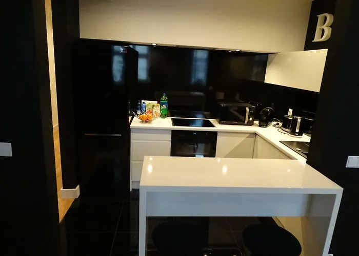 Black&white Apartment- Wierzbowa 5 Apartamento Poznań